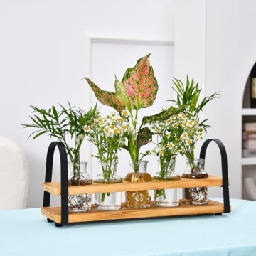 VIKEYHOME Plant Propagation Stations with Wood Stand, Desktop Plant Terrarium for Propagating Hydroponic, Flower Vase for Home Kitchen Office Decor, Plant Lover Gifts