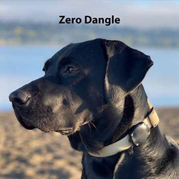 Elevation Lab TagVault AirTag Dog Collar Mount - Secure and Waterproof