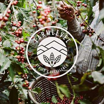 Verve Coffee Roasters Whole Bean Coffee Seabright House Blend | Medium Roast, Brewed or French Press, Direct Trade, Resealable Pouch | Enjoy Hot or Cold Brew | 12oz Bag