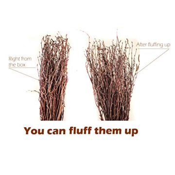 Natural Birch Twigs for Weddings and Crafts - 150PCS