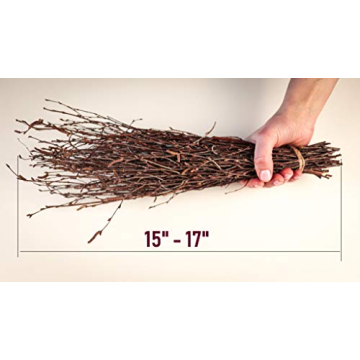 Natural Birch Twigs for Weddings and Crafts - 150PCS