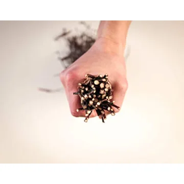 Natural Birch Twigs for Weddings and Crafts - 150PCS