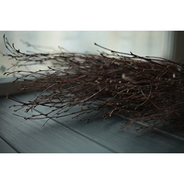 Natural Birch Twigs for Weddings and Crafts - 150PCS