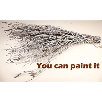 Natural Birch Twigs for Weddings and Crafts - 150PCS