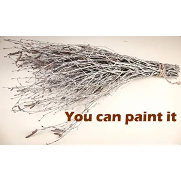 Natural Birch Twigs for Weddings and Crafts - 150PCS