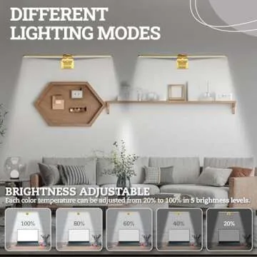 Rechargeable 2 Pack Picture Light for Wall Art Lighting