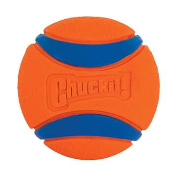 Chuckit! Ultra Ball and The Whistler Ball Dog Toys, Large (3.0 and 3.0 Inch Diameter) for Dogs 60-100 lbs