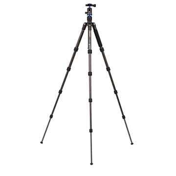 Benro Travel Angel 1 Series Carbon Fiber Tripod w/ V0E Ball Head (FTA19CV0)