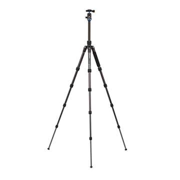 Benro Travel Angel 1 Series Carbon Fiber Tripod w/ V0E Ball Head (FTA19CV0)