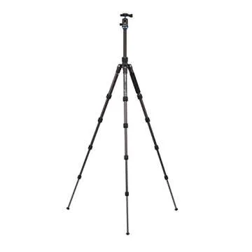 Benro Travel Angel 1 Series Carbon Fiber Tripod w/ V0E Ball Head (FTA19CV0)