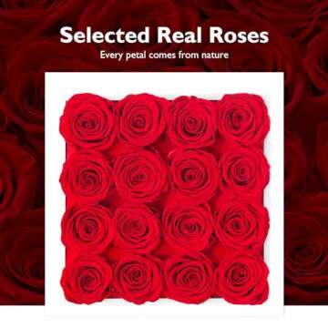 Eterfield Forever Flowers Preserved Roses Real Roses That Last a Year Rose Box Gifts for Her Mothers Day Valentines Day Christmas (Square White Box, 16 Red Roses)