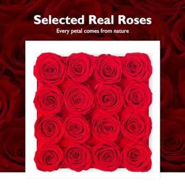 Eterfield Forever Flowers Preserved Roses Real Roses That Last a Year Rose Box Gifts for Her Mothers Day Valentines Day Christmas (Square White Box, 16 Red Roses)