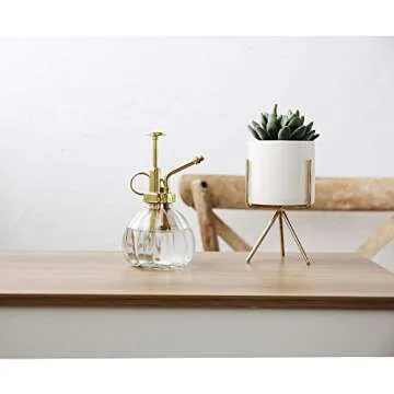 Stylish Ebristar Plant Mister Glass Water Spray Bottle