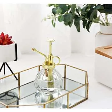 Stylish Ebristar Plant Mister Glass Water Spray Bottle