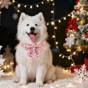 UP URARA PUP Christmas Dog Collar with Bow Tie