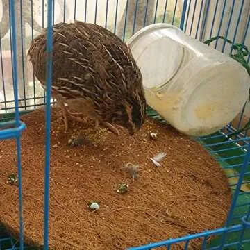 Kathson Bird Nesting Pads - Warm Coconut Fiber Bedding