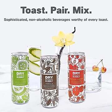 DRY Sparkling Non-Alcoholic Botanical Bubbly, 4 Clean Ingredients, Delicious Way to Be Sober & Socia...