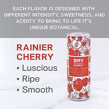 DRY Sparkling Non-Alcoholic Botanical Bubbly, 4 Clean Ingredients, Delicious Way to Be Sober & Social, Zero Proof Mocktail Mixer, Multi-Use Beverage, Pack of 12