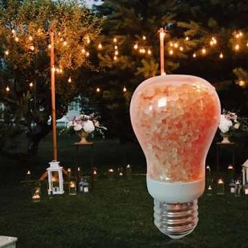 Himalayan Glow Salt Light Bulbs - Soft Amber Glow, 60-Watt Equivalent
