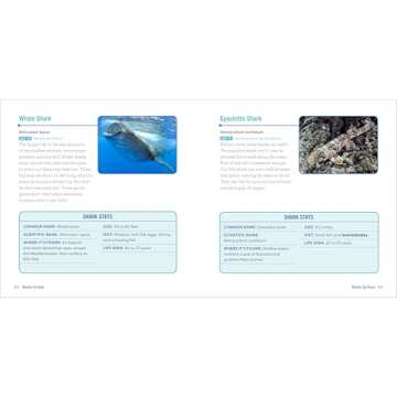 Sharks for Kids: A Junior Scientist's Guide to Great Whites, Hammerheads, and Other Sharks in the Se...