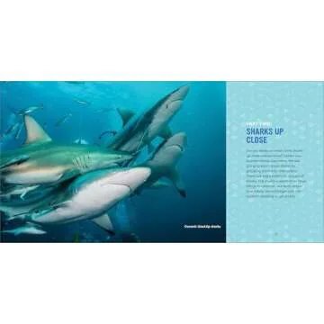 Sharks for Kids Ultimate Junior Scientist Guide