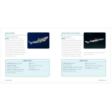 Sharks for Kids Ultimate Junior Scientist Guide