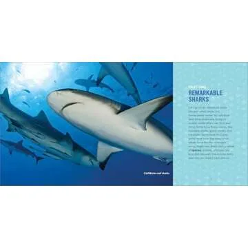 Sharks for Kids Ultimate Junior Scientist Guide