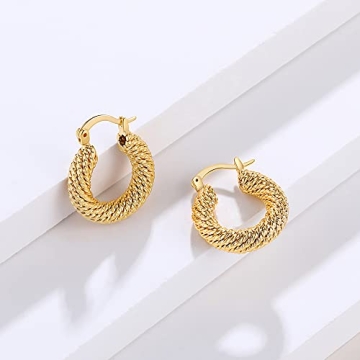 Twisted Gold Hoop Earrings for Women 14k Plated Fashion Jewelry