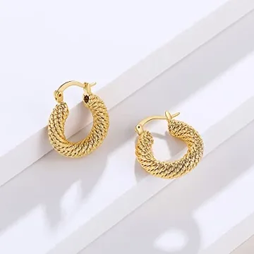 Twisted Gold Hoop Earrings for Women 14k Plated Fashion Jewelry