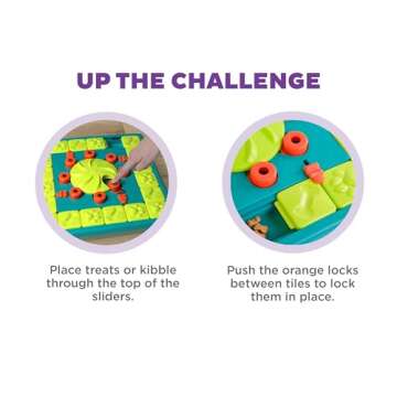 Outward Hound by Nina Ottosson Multipuzzle Level 4 Expert Dog Treat Puzzle for Enrichment, Blue