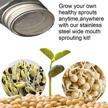THINKCHANCES Food Safe,BPA Free Rust Resistant Stainless Steel Sprouting Screen Lids and Bands for Wide Mouth Mason Ball Canning Jars for Growing Organic Sprout Seeds at Your Home (Wide Mouth, 3 Pack)