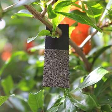 Bug Sales Trichogramma 3 Squares/ 12,000 Eggs