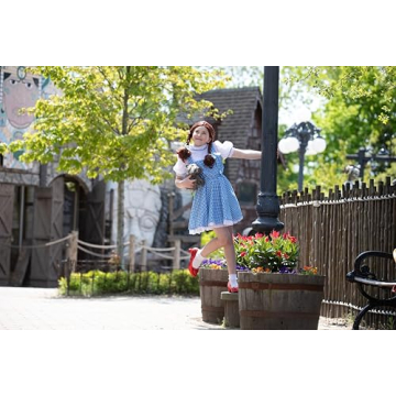 Rubie's Wizard of Oz Dorothy Costume for Girls