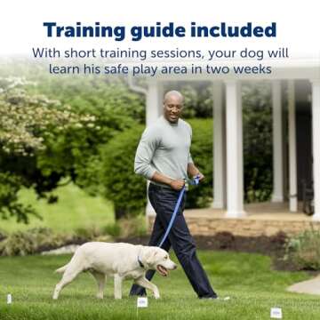 PetSafe Stay & Play Wireless Fence for Dogs & Cats - Rechargeable Collar