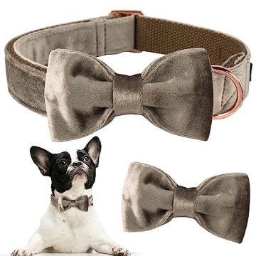 Elegant Velvet Dog Bowtie Collar for All Occasions