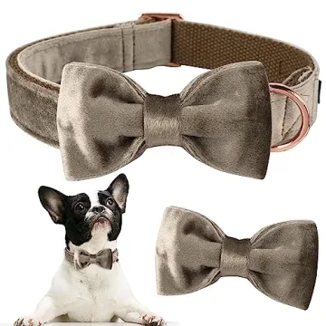 Elegant Velvet Dog Bowtie Collar for All Occasions