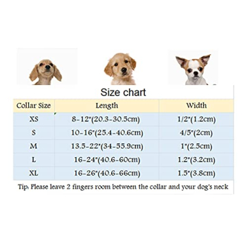 Elegant Velvet Dog Bowtie Collar for All Occasions