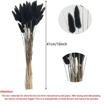 XHXSTORE 60pcs Dried Bunny Tails Flowers Black Pampas Grass Dried Flowers Bulk Natural Lagurus Ovatus Dried Floral Arrangement Dry Flowers for Boho Home Wedding DIY Craft Decoration (16")