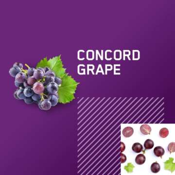 Optimum Nutrition Amino Energy - Pre Workout with Green Tea, BCAA, Amino Acids, Keto Friendly, Green...