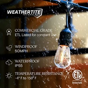 Brightech Ambience Pro LED String Lights for Outdoor Use