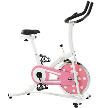 Sunny Health Indoor Cycling Exercise Bike with Monitor and Flywheel