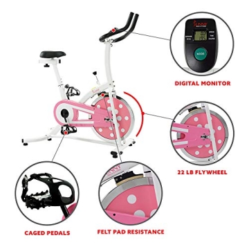 Sunny Health Indoor Cycling Exercise Bike with Monitor and Flywheel