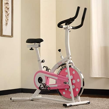 Sunny Health Indoor Cycling Exercise Bike with Monitor and Flywheel
