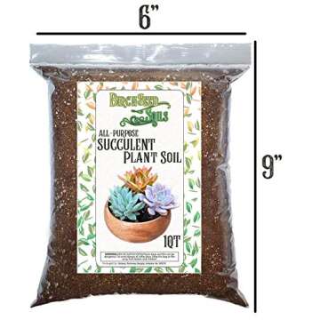 Succulent Plant Soil, Natural All-Purpose Cactus, Aloe Vera, and Succulent Potting Soil, 1 Quart Sized Bag, Premium Fast Draining Mix