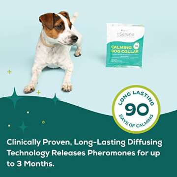 bSerene Calming Collar for Dogs, Puppy to Small |3-Month Supply of Calming pheromones in 1 Collar | Always-on Stress Reliever | Helps Reduce Barking, Chewing, Anxiety, trembling and Shaking (500100)
