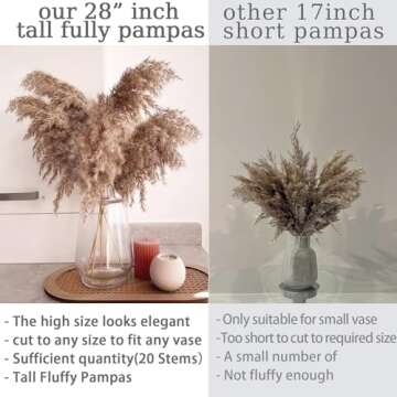 20 Stems 28" inch Large Brown Pampas Grass Decor Tall - Natural Fluffy Pompas Grass Bulk Tall Pampas...