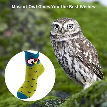 Jeasona Women's Cute Owl Socks for Gifts and Comfort