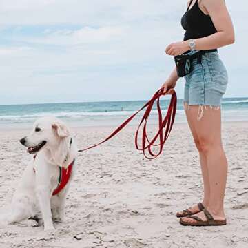 EzyDog Track and Train Leash - 16-Foot Premium Training Lead