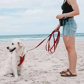 EzyDog Track and Train Leash - 16-Foot Premium Training Lead