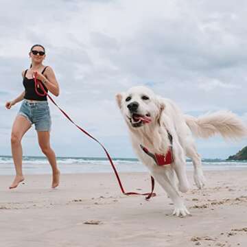 EzyDog Track and Train Leash - 16-Foot Premium Training Lead